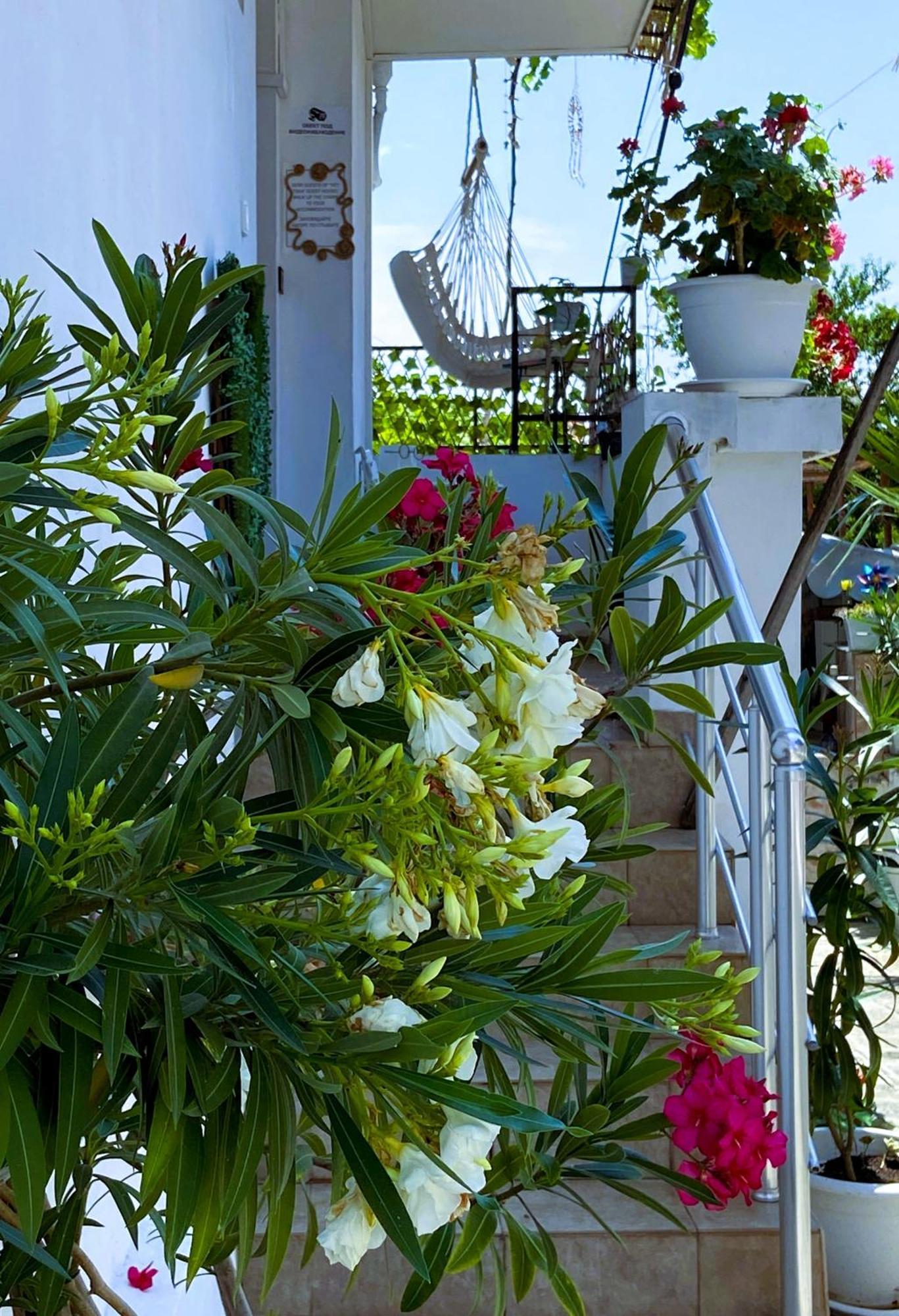 Guest House Hei Taka Sozopol Exterior foto